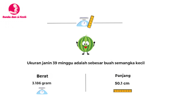 hamil 39 minggu, perkembangan janin, persiapan melahirkan, gejala kehamilan akhir, Bunda, si Kecil, Ibu Hamil